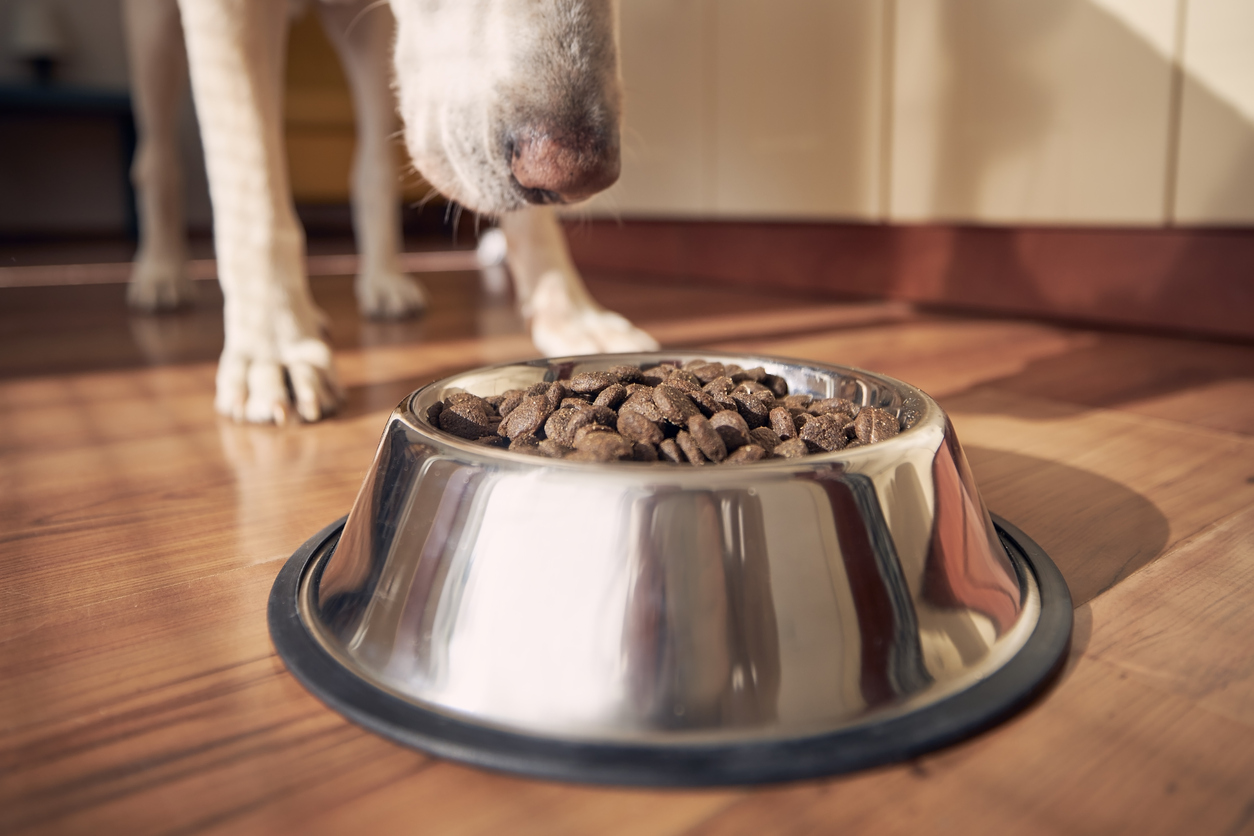 Best dog food for joint care best sale